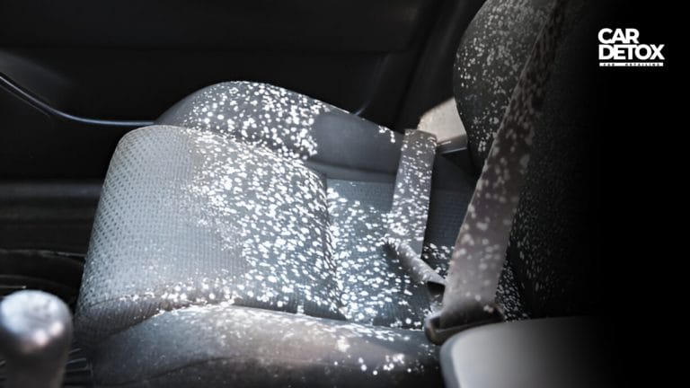 How To Get Mold Out Of Car Interior