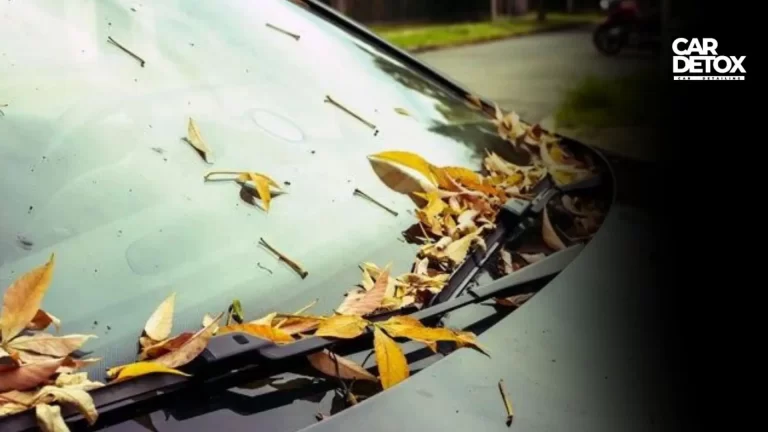 How to Get Tree Sap Off Car