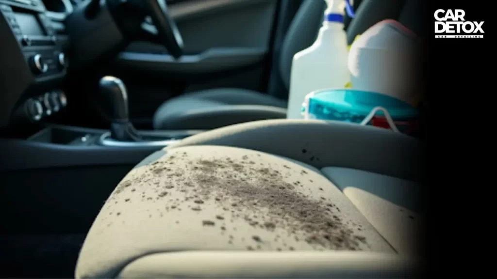 car-mold-treatment-car-detox