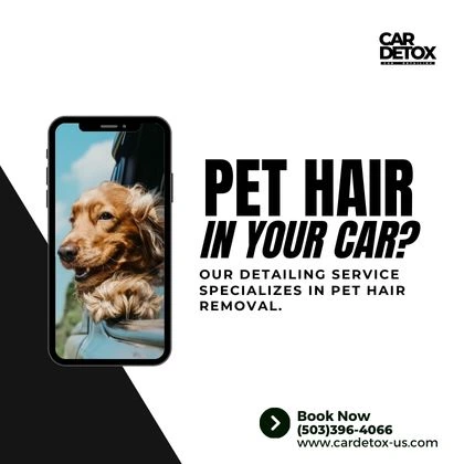 Pet Hair Removal Service in Tualatin
