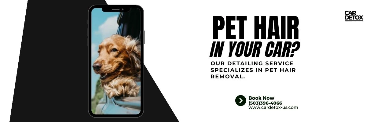 Pet Hair Removal Service in Tualatin
