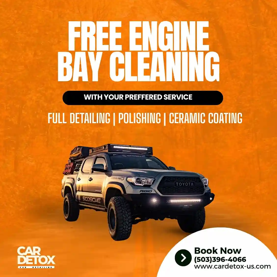 Free engine bay cleaning