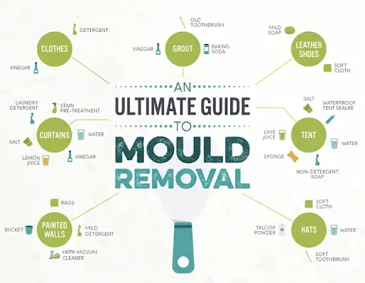 ultimate-guide-for-mold-removal