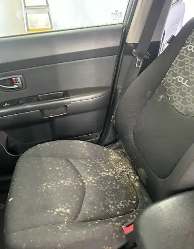 car-seats-mold