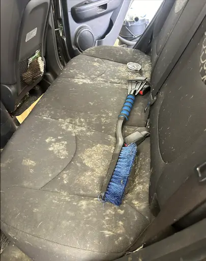 mold-on-car-seats