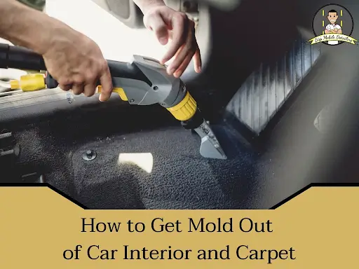 mold-out-of-car-interior