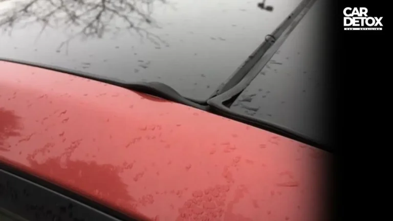 damaged-window-seals