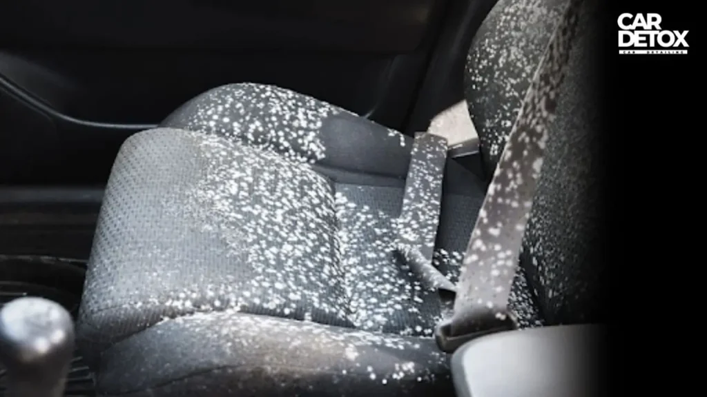 seasonal-weather-in-oregon-causes-mold