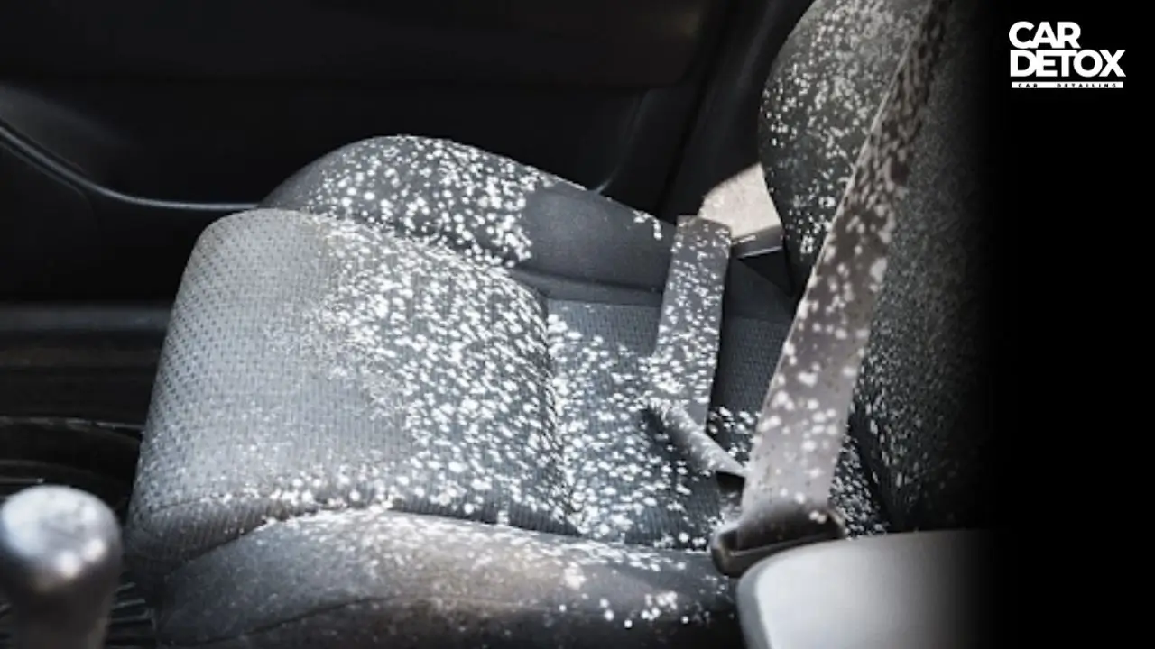 seasonal-weather-in-oregon-causes-mold