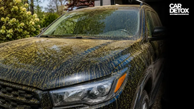 can-polen-damage-your-car