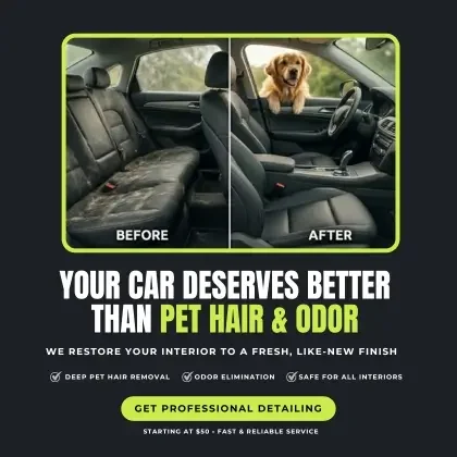 pet-hair